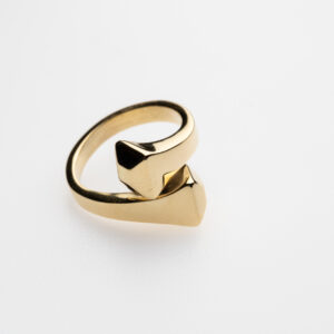 Anello chiodo doppio