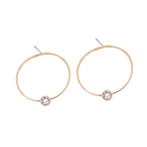 Earrings Hoops